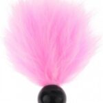 5e34ab796358455cd50065a32032d2ec