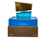 7b7938395239cf18cf2f7183997568d7