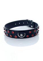 c9fe31ed79387ea9c9fab144ca91cd8c