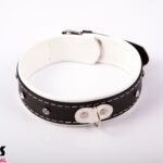 3de64a61b4418cea6c85dfae2c011cbe