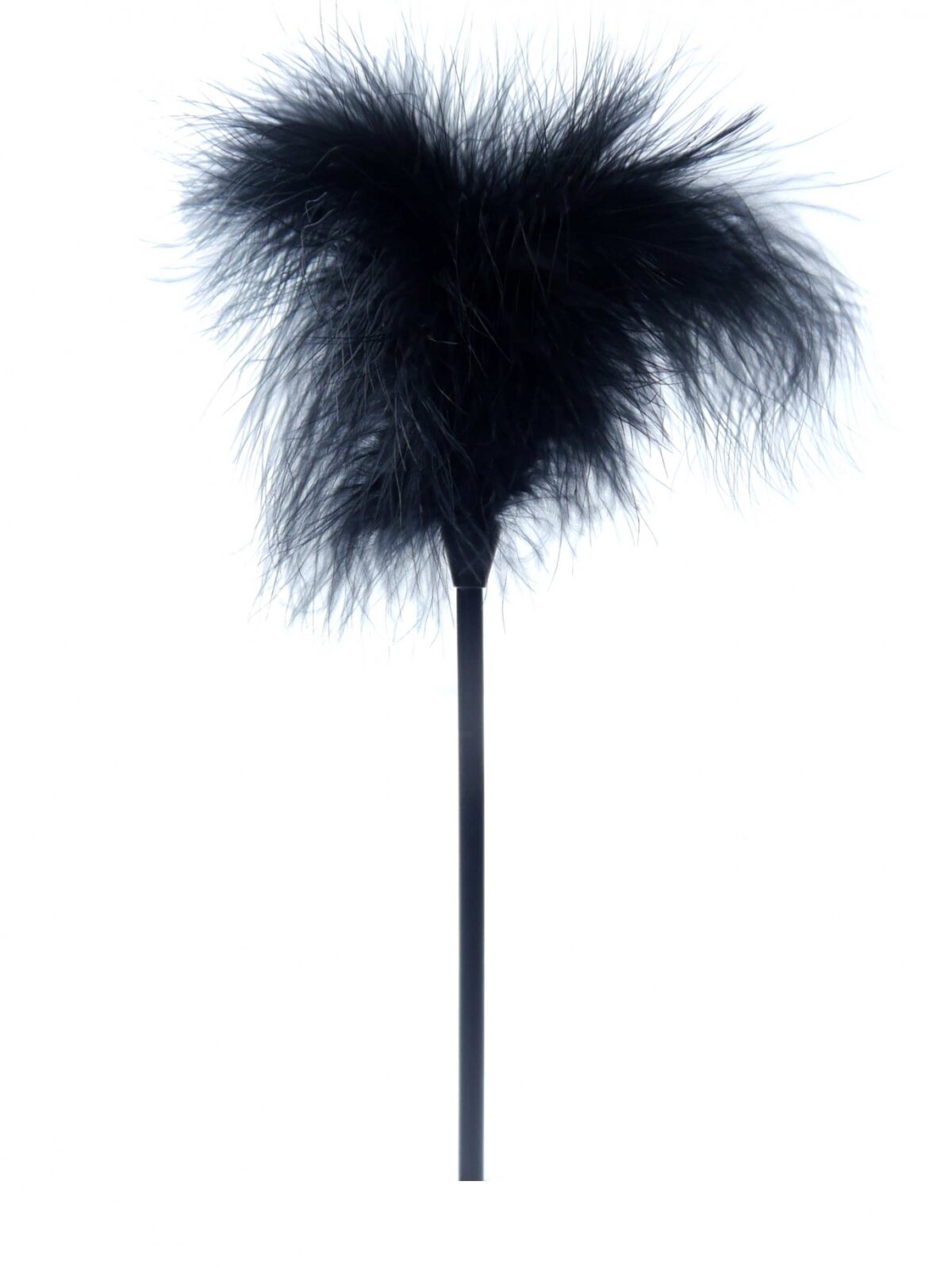 e873ad7da3d22af3df89c274729f49a0