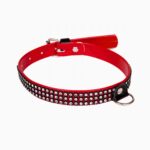 1036d95cdf38d0197243fb52c05d0dba