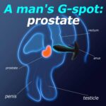 bb007580e66f29415c6bb359898c4a50