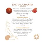 2ee4491e9c0058cd844a9dbb07a04a5d