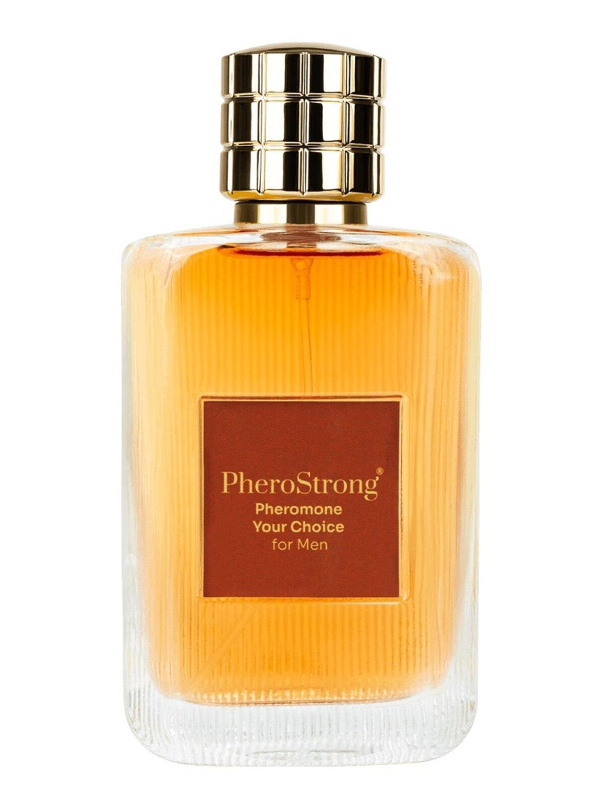 7ffcf1a6a54332d8b4fa24bbe7501843