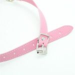 a2d7dea461729849f8b6c5670e08a9d0