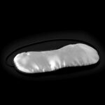 1f51966863ca1096dce619de4d114521