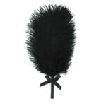 acbb6cc73875052fb6f09c2f7c59e170