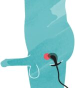 47996ded80c5a0143b1758784d32e3fc