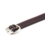 1c97831ae59a6c4be1c488259ecc57ea