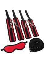 453a30fd54f217309fba226cf8bef9d3