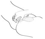 ac4024c1277c69db1016ff2917c6fca0