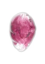 41d7c8178d9e67b69613cf5afa3ef650