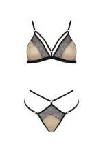 a2cb185529619f75c0c68fd1f02e7013