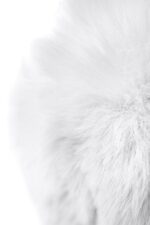 3d91dcc754d133aa4f76609f842b1b0a