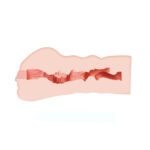 88e8321ab881023c835c01e1596255d9