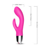 2e987c53982080599302234417c26f27